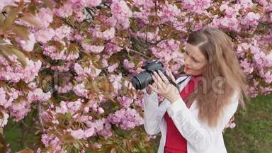 美丽的女孩游客<strong>拍照樱花</strong>树春粉花